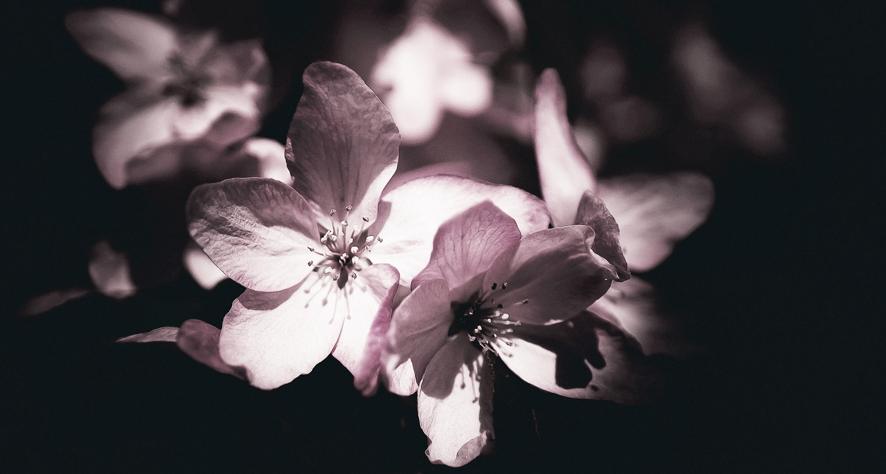 HENNESSY PARADIS IMPERIAL