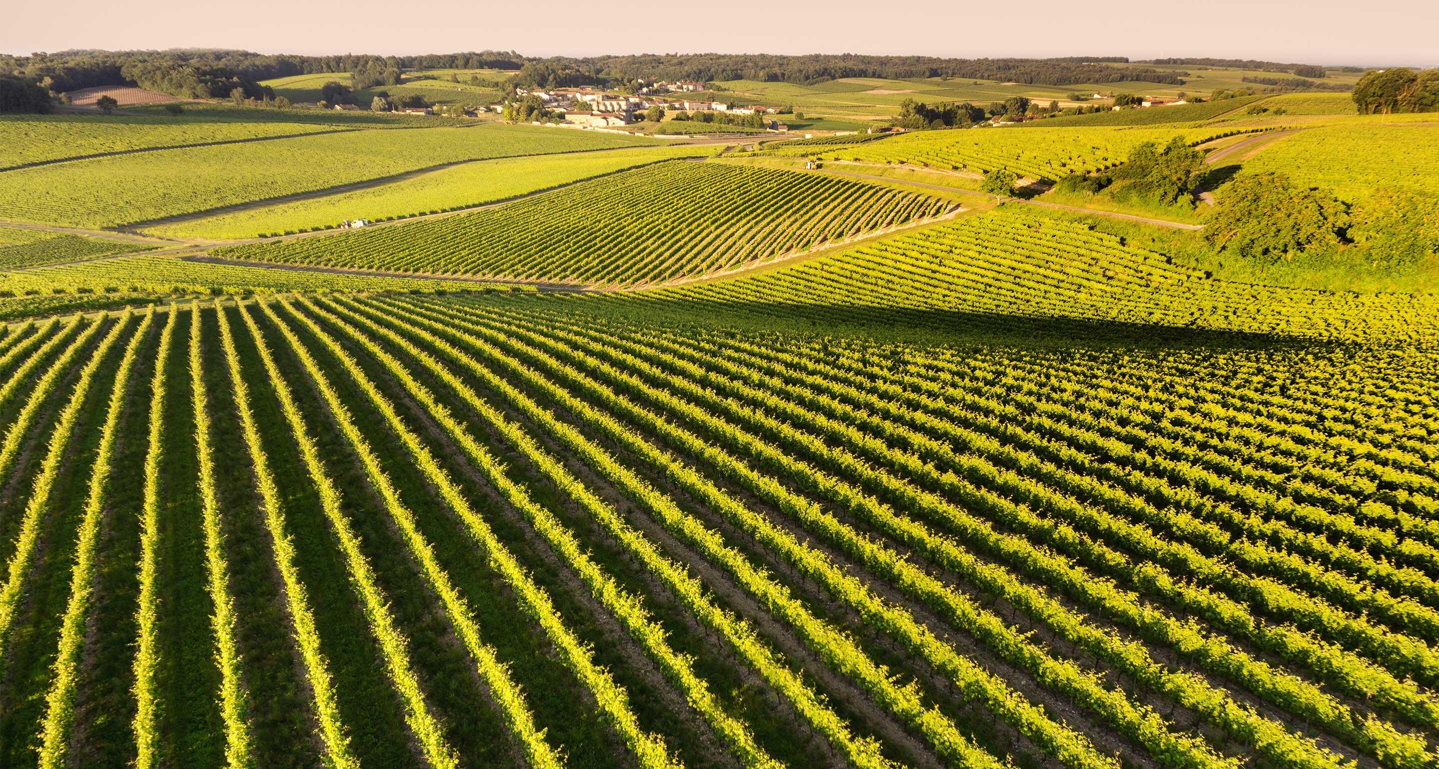 Building a sustainable future