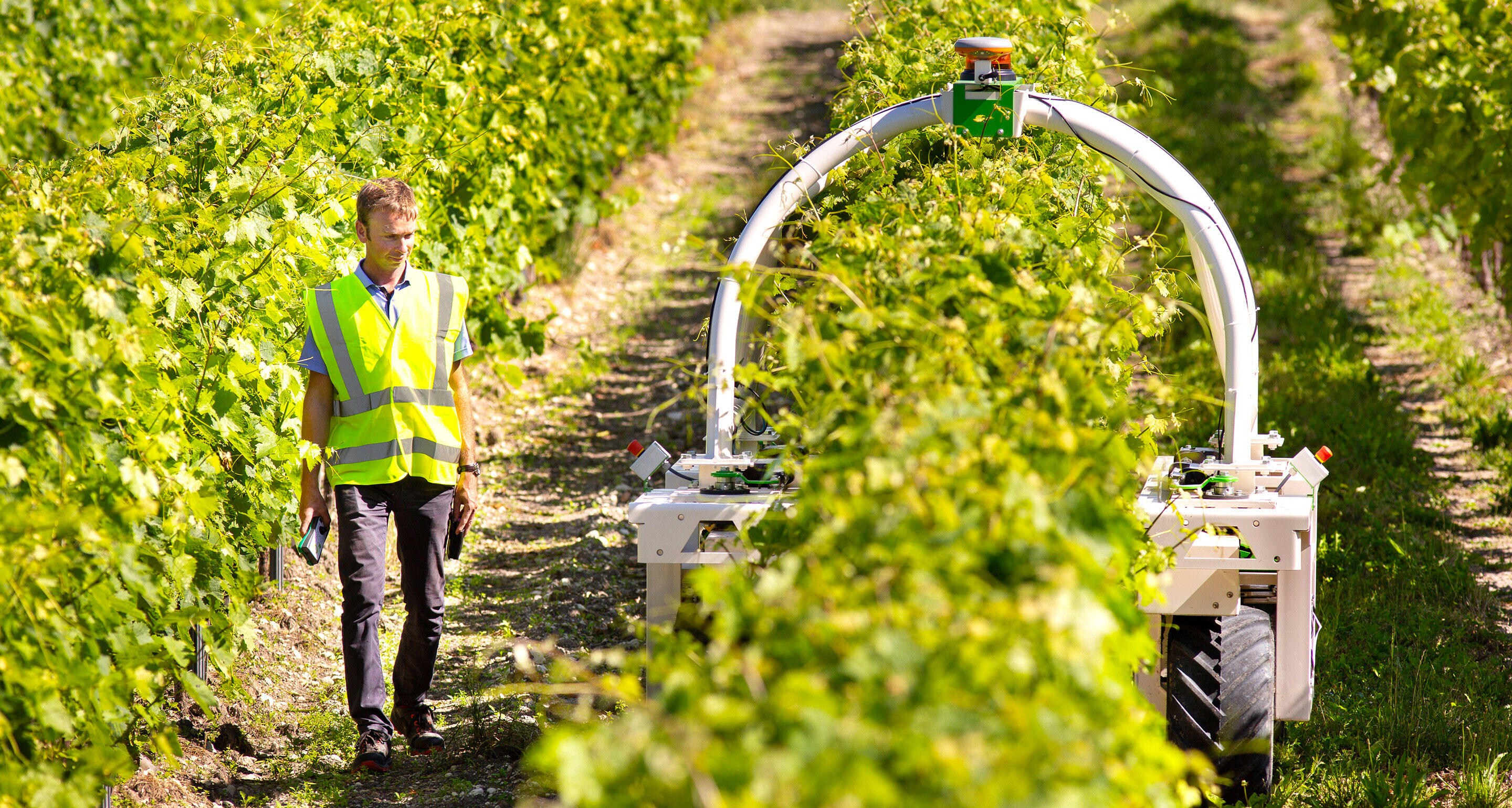 Building a sustainable future