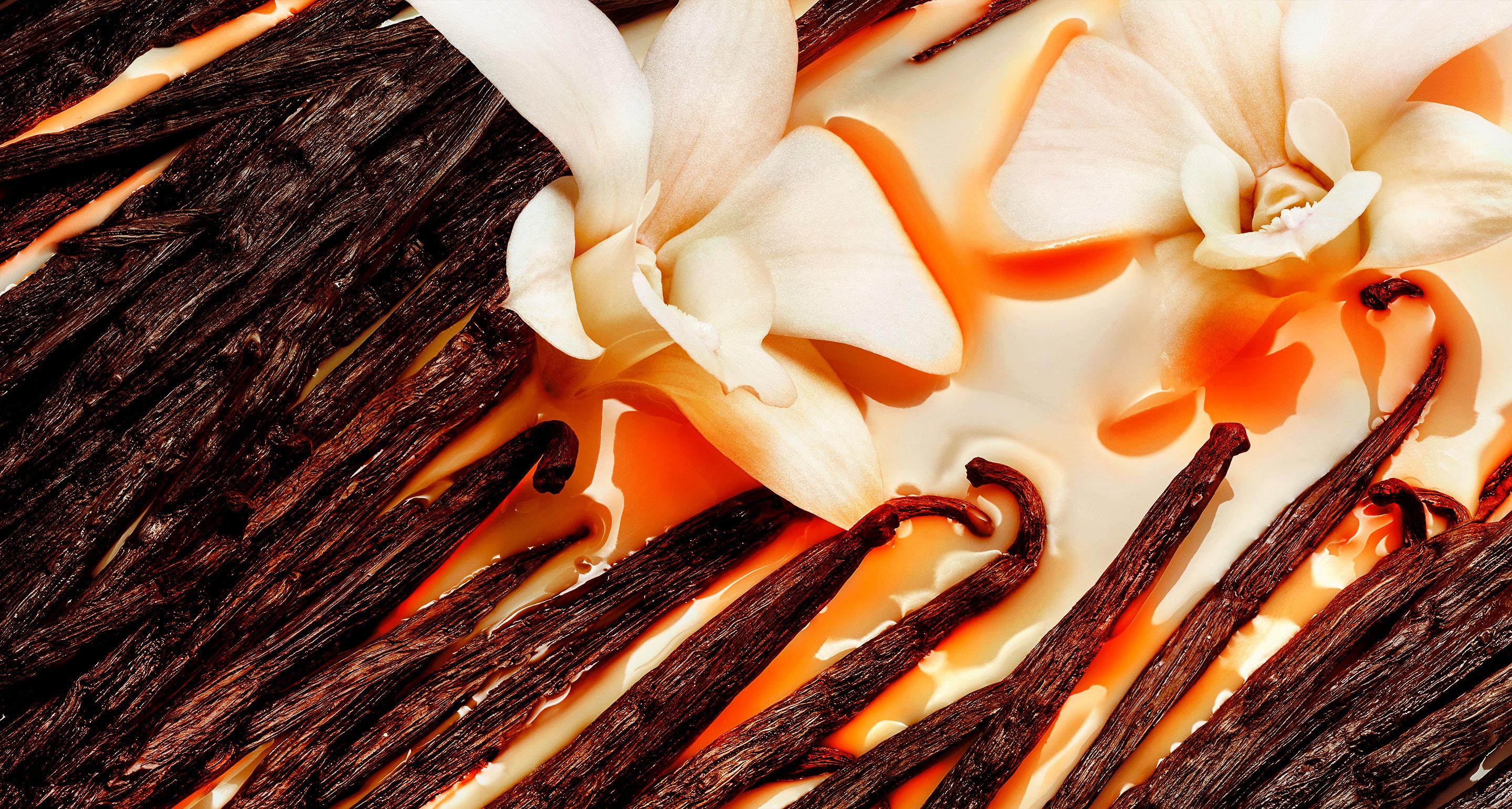 Hennessy-very-special-tasting-notes-palate