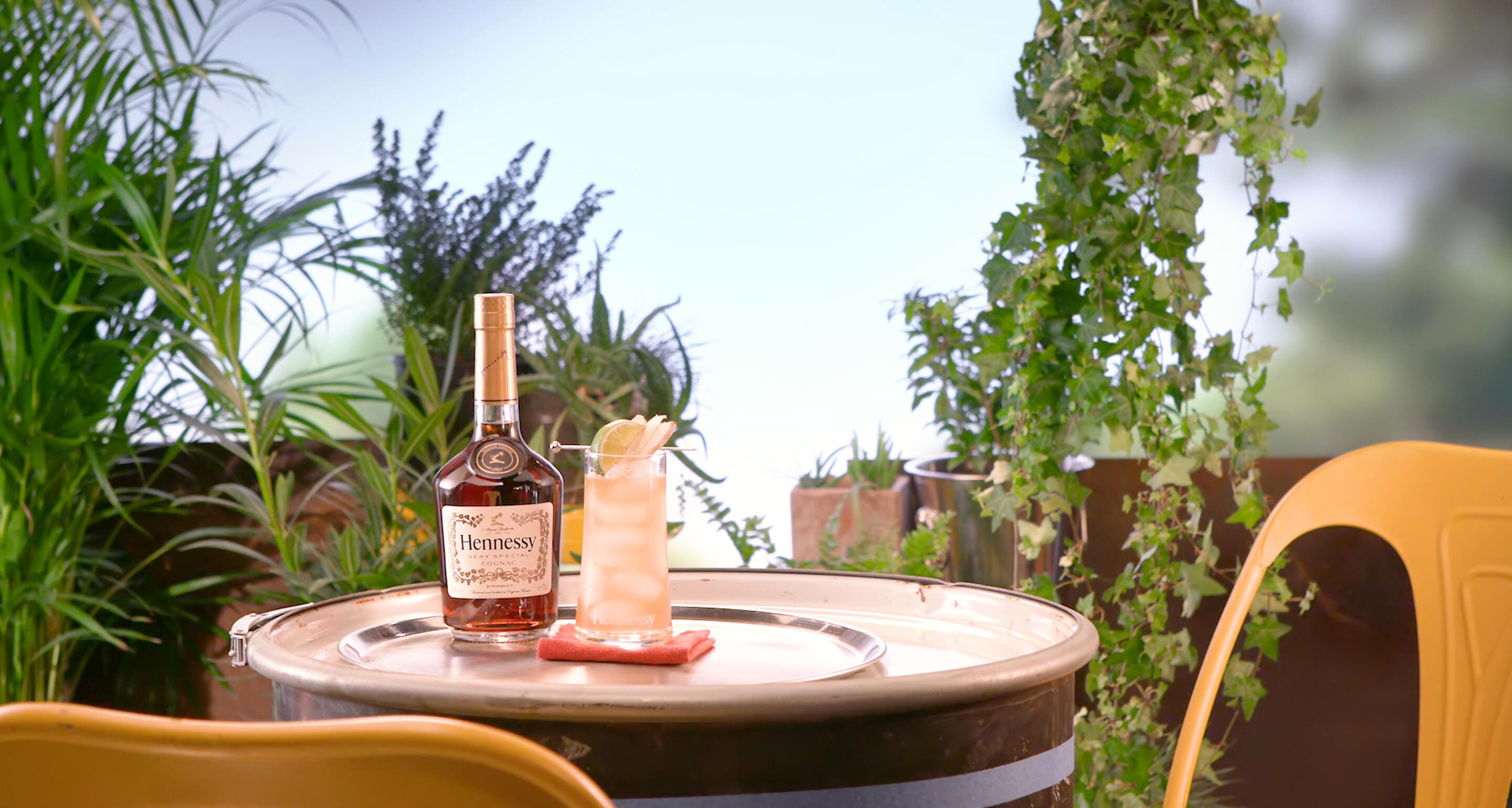 henry-ginger