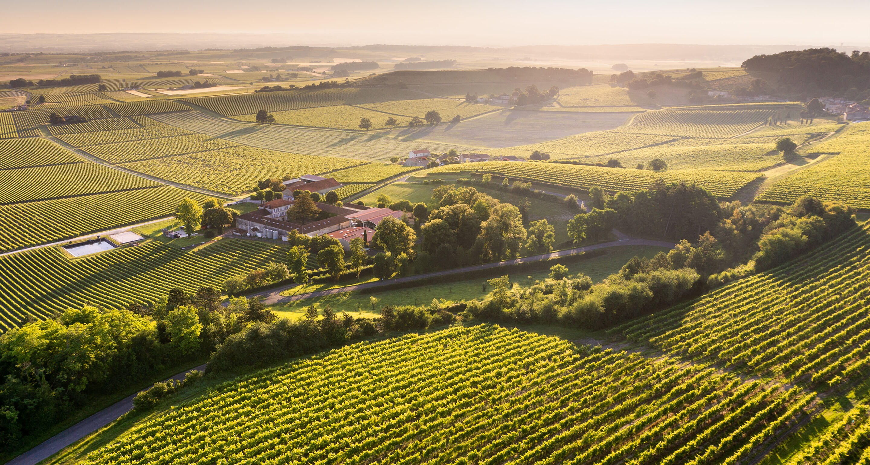 Our sustainable viticulture