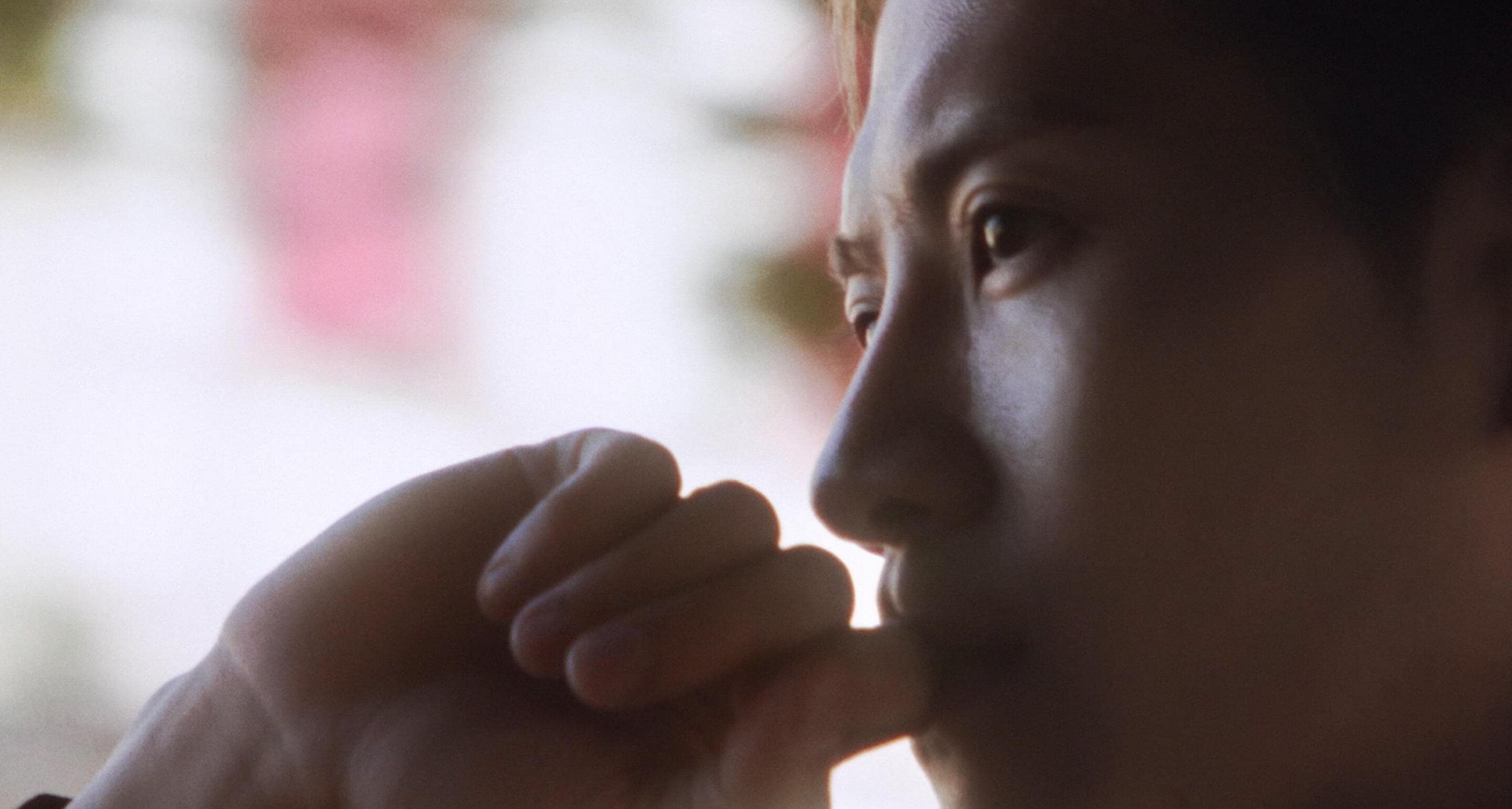 On the Road to Cognac