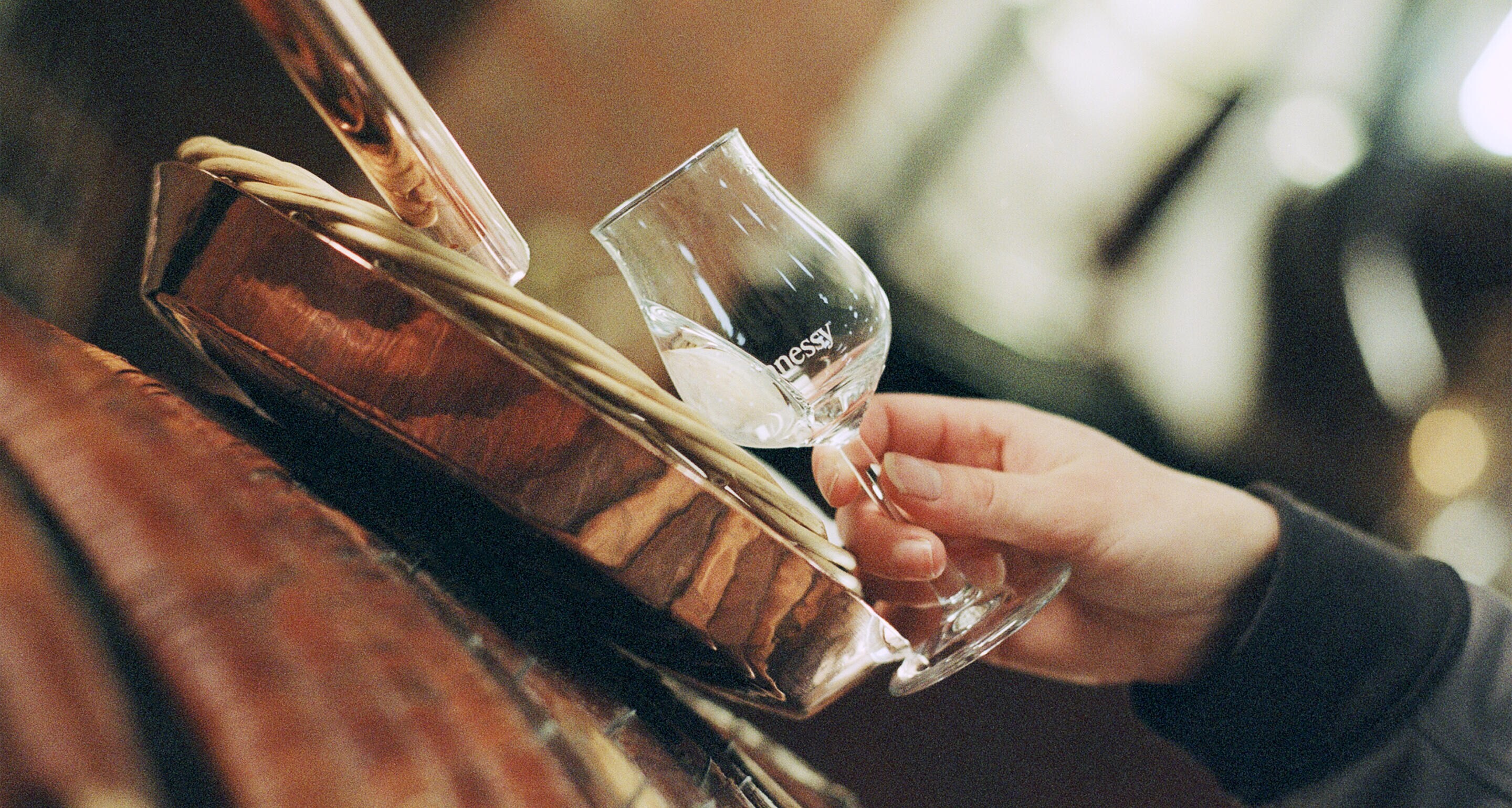 02_distillation_gaiabonanomi_hennessy_1-2.jpg