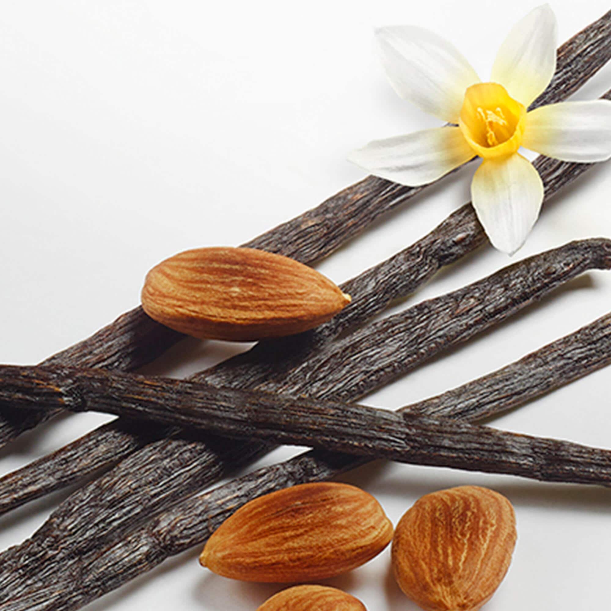 Hennessy James Hennessy 15 