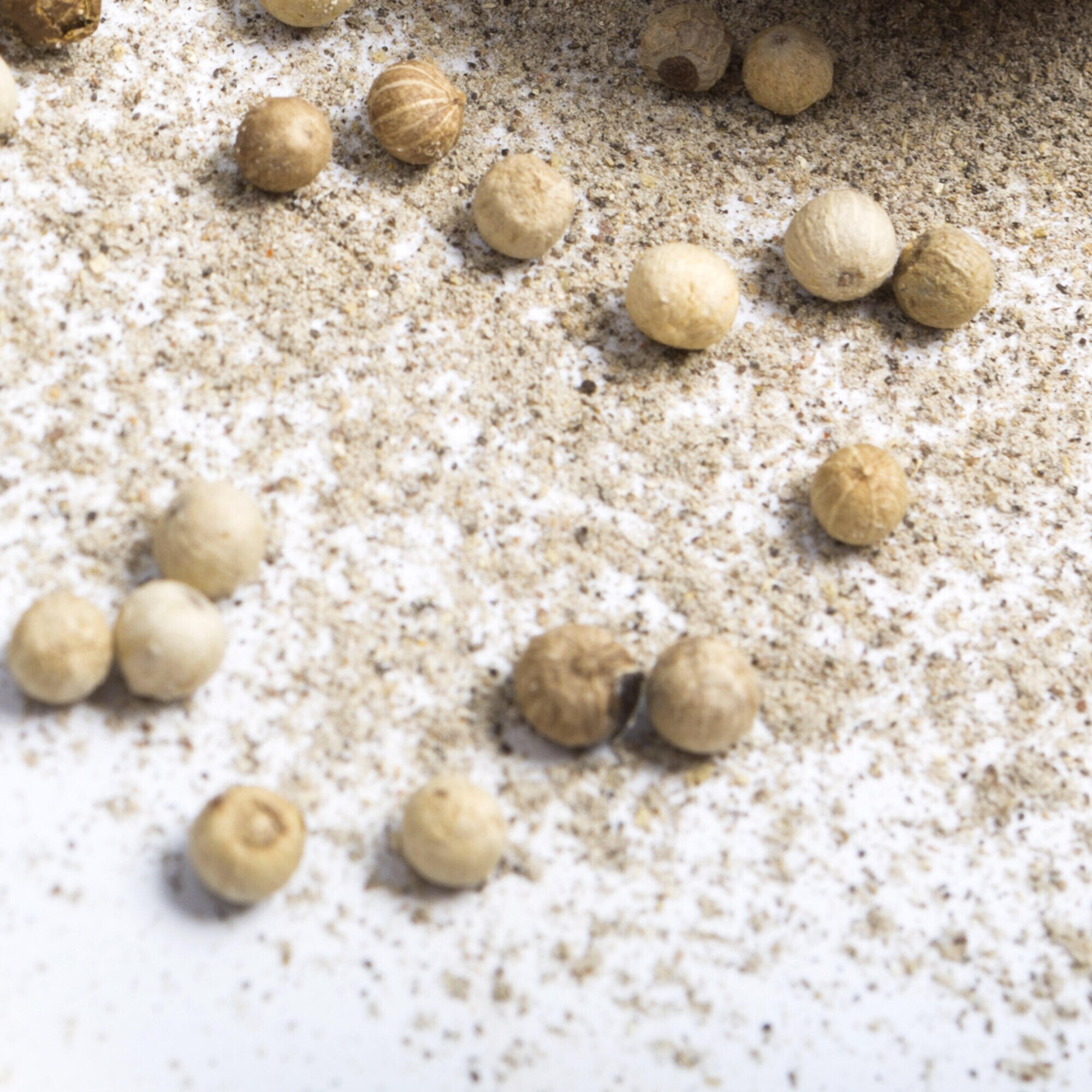 02_tasting_2000x2000