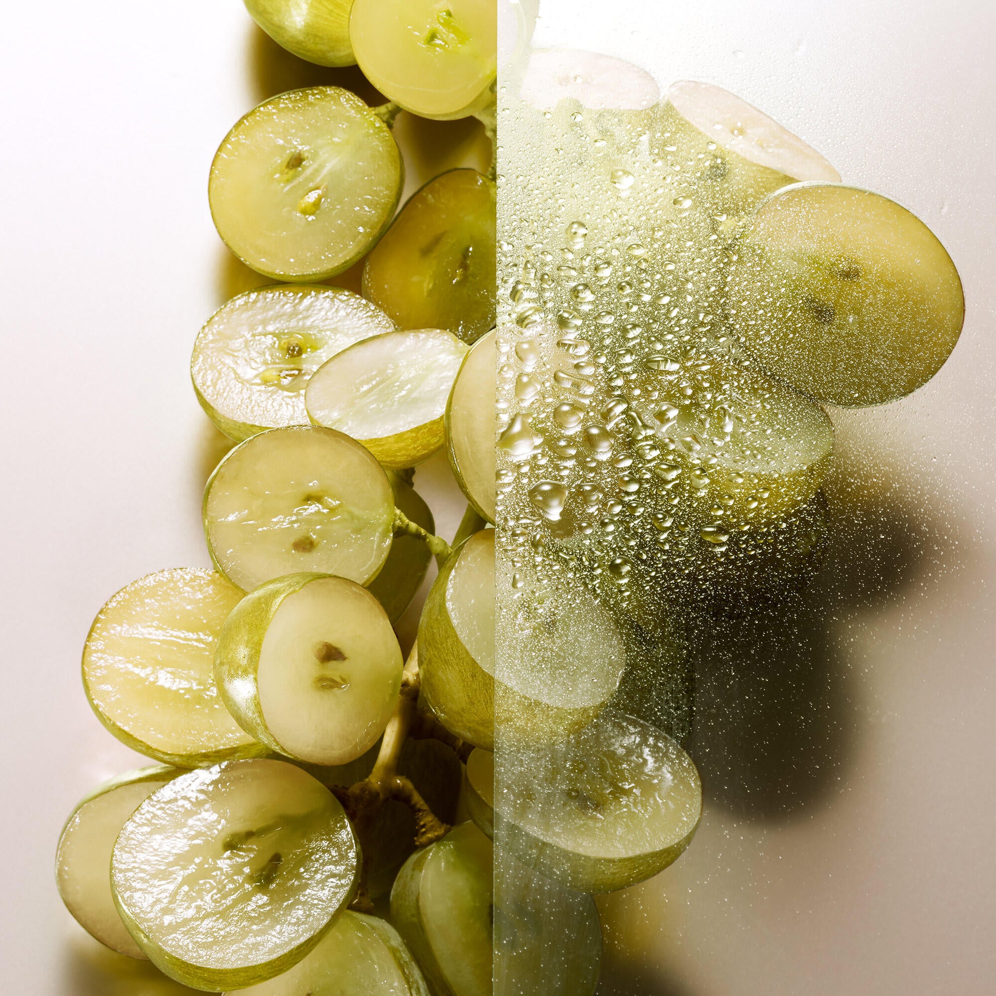 02_tasting_2000x2000.jpg