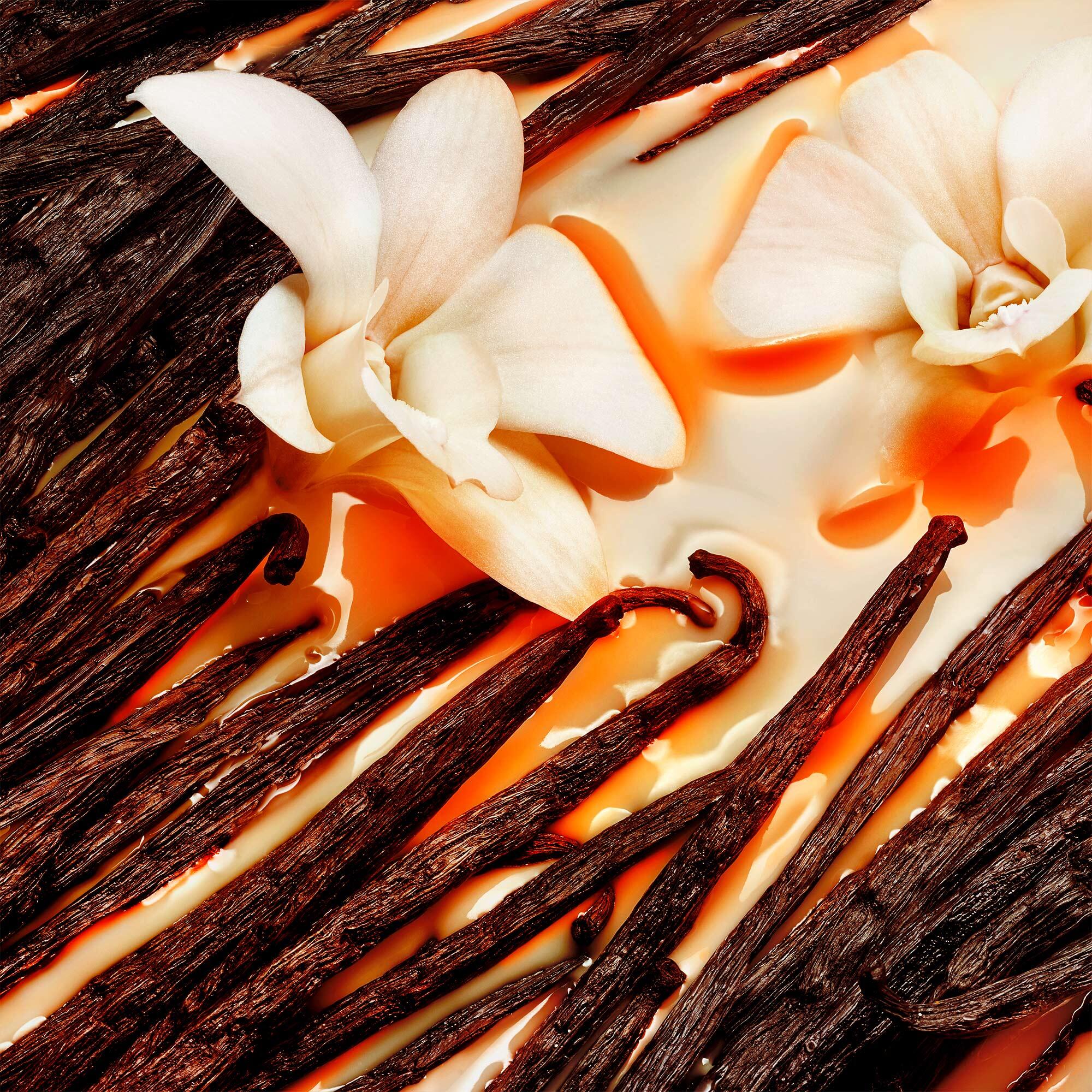 hennessy-very-special-tasting-notes-palate-square.jpg